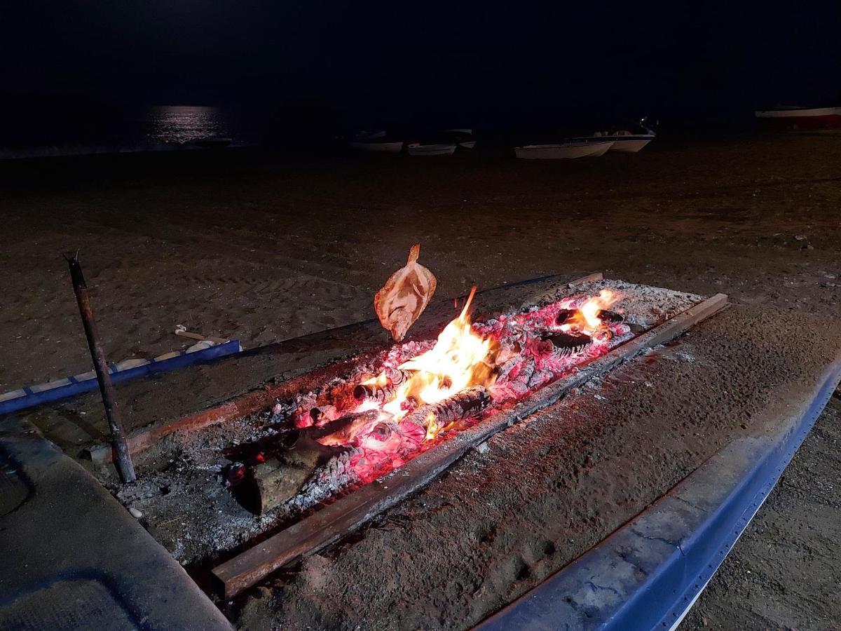 Noria 2, Pied Dans Le Sable, Magnifique Vue Mer, Piscine, Garage, Climatisation سان لويس ذي سابينيل المظهر الخارجي الصورة
