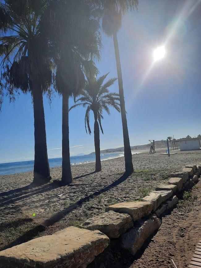 Noria 2, Pied Dans Le Sable, Magnifique Vue Mer, Piscine, Garage, Climatisation سان لويس ذي سابينيل المظهر الخارجي الصورة